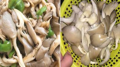 炒蘑菇時，焯水還是直接下鍋炒？做錯這1步，難怪蘑菇不鮮不好吃
