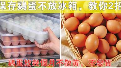 保存雞蛋不必放冰箱！教你2種方法，雞蛋放幾個月不散黃，不變質