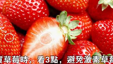 激素」草莓怎樣辨認？老果農：教你一招，看一眼就能區別
