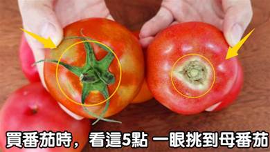 買番茄時，只挑母番茄，教你5招，一眼就便被出，番茄味道濃郁好吃
