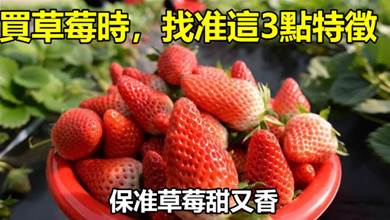 買草莓時，找准這3點特徵，老果農多年經驗分享，保准草莓甜又香