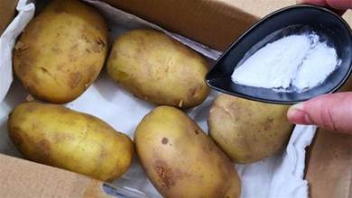 保存土豆有竅門，只要撒一點「它」，土豆放1年也不發芽不會壞