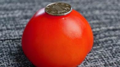 今天才知道，原來西紅柿去皮很簡單，一個硬幣就搞定，太實用了