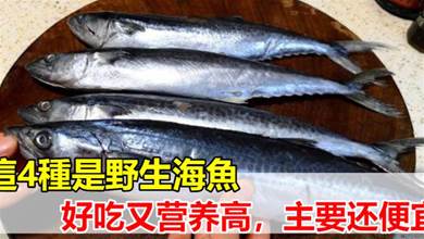 買魚時，這4種是野生海魚，好吃營養高，無法養殖，遇到后別手軟