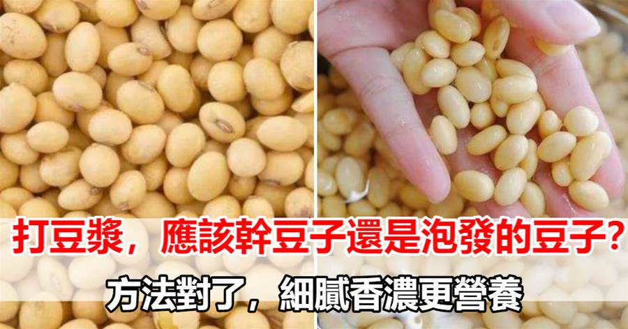 打豆漿，應該幹豆子還是泡發的豆子，二者有什麼區別，方法對了，細膩香濃，更營養
