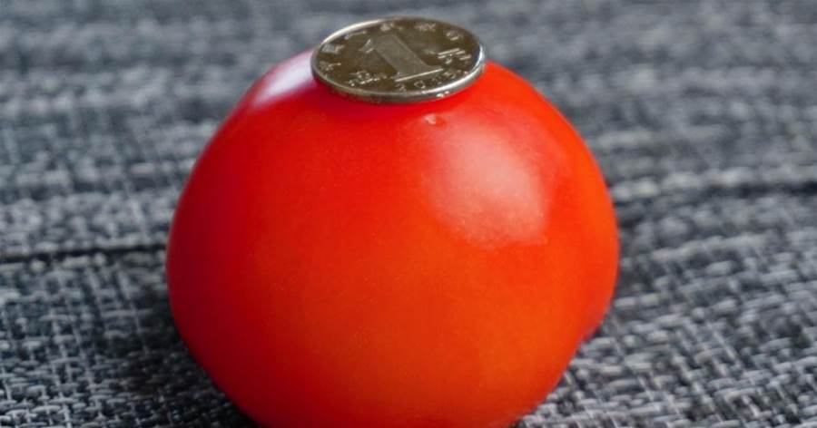 今天才知道，原來西紅柿去皮很簡單，一個硬幣就搞定，太實用了