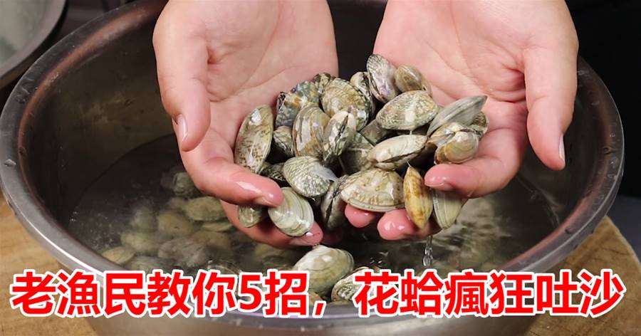洗花蛤時，不要只加鹽洗，老漁民教你5招，花蛤瘋狂吐沙，特省事