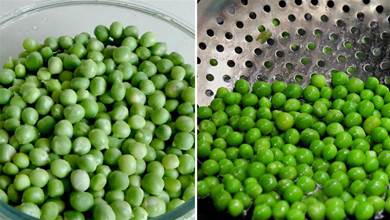 保存豌豆別直接放冰箱，學會正確方法，放一年都新鮮，翠綠口感好