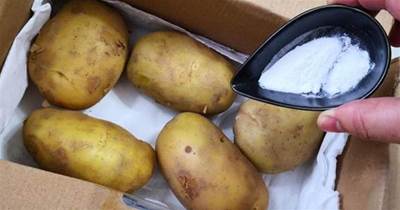保存土豆有竅門，只要撒一點「它」，土豆放1年也不發芽不會壞