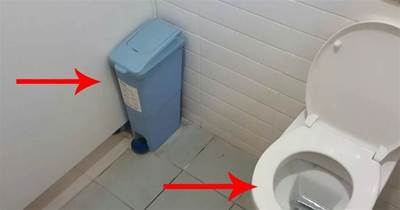衛生紙扔「馬桶」里還是垃圾桶？看看日本人的做法，好先進
