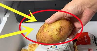 把一個土豆放進冰箱里，太厲害了，一周10斤不夠吃，上桌就光盤