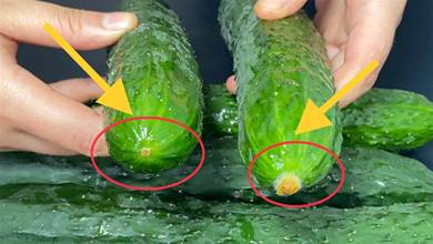 買黃瓜時，牢記這5個小技巧，避免買到激素黃瓜，看完漲知識了