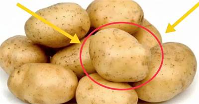土豆久放易發芽！學會3個小妙招，放半年也新鮮，不綠不爛不發芽