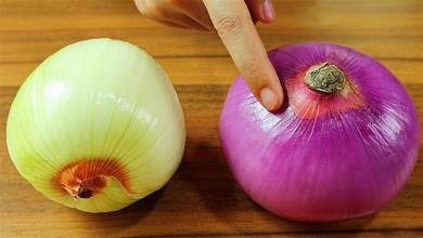 買洋蔥時，選「紫色」還是「白色」好？很多人不懂，看完漲知識