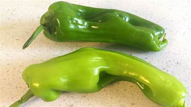 買青椒，怎麼區分辣的和不辣的？老菜農：牢記這4點，一挑一個準