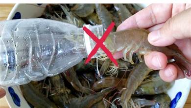 保存大蝦不要再用水瓶裝了，老漁民教你一招，放到過年也新鮮