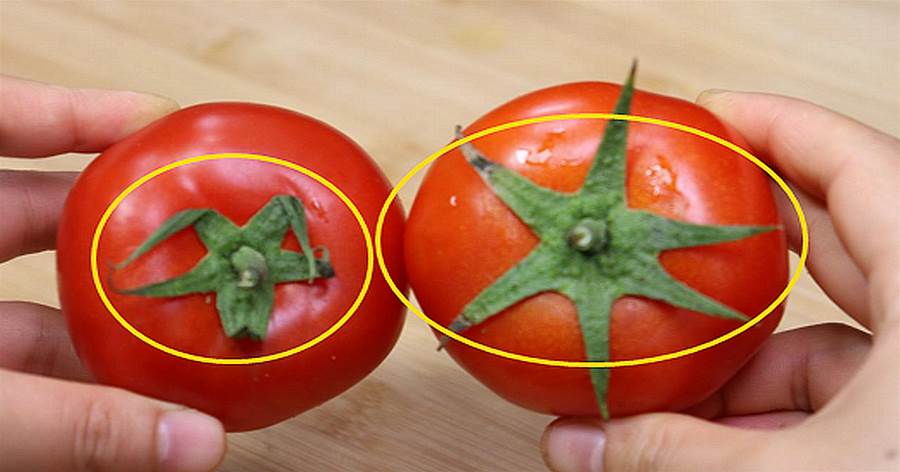 「激素」西紅柿不要買，菜農：注意看這4個位置，一眼辨就能辨出，再便宜也不要