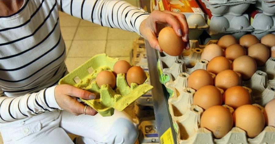 剛知道雞蛋也會有「激素雞蛋」，很多人不知道，看完記得告訴家人