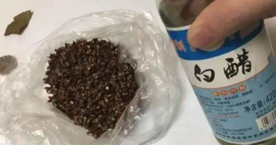 用農村的一個土方法，不點蚊香不噴藥，蚊子不敢來家里