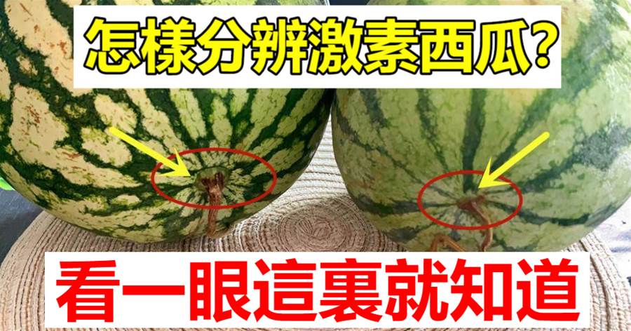 怎樣分辨激素西瓜？行家：一看這里就知道，學會別再亂買了