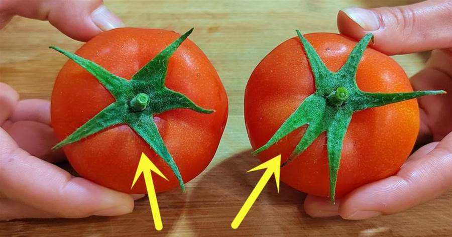 買西紅柿時，挑5片葉還是6片葉？老菜農：牢記4點，沙甜多汁，一挑一個準