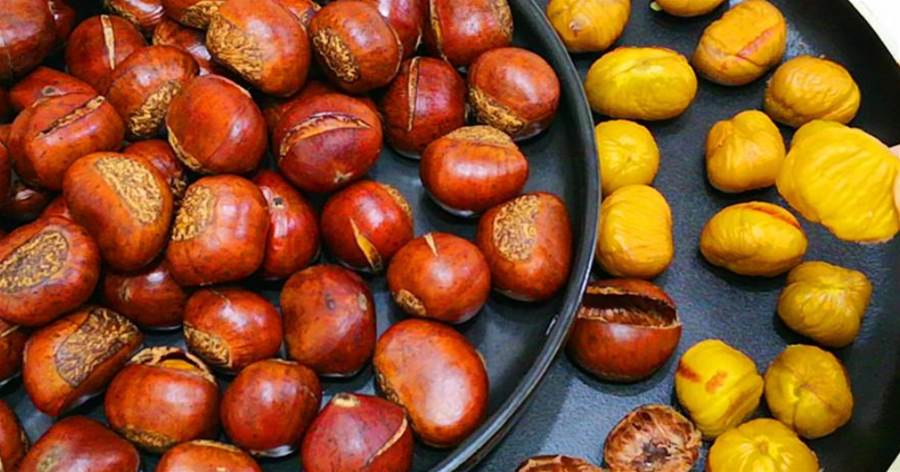 板栗是「千果之王」，這個季節比紅薯受歡迎，不懂吃可惜