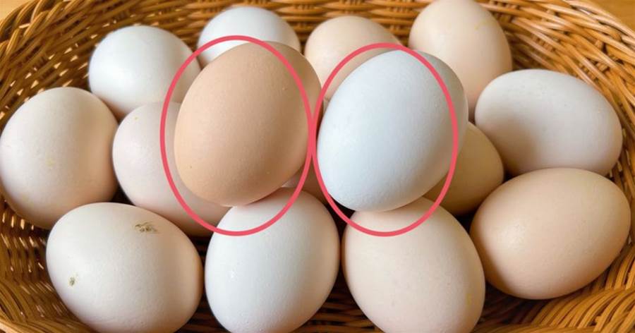 激素雞蛋危害大，教你買蛋技巧，3招辨別激素雞蛋，太實用了