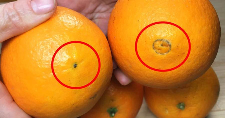 買橙子，「大肚臍」和「小肚臍」差別大，記住3點，包你挑的橙子香又甜