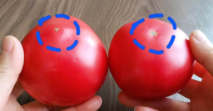 激素西紅柿危害大，牢記4點，教你一眼就能分清，這方法太棒了