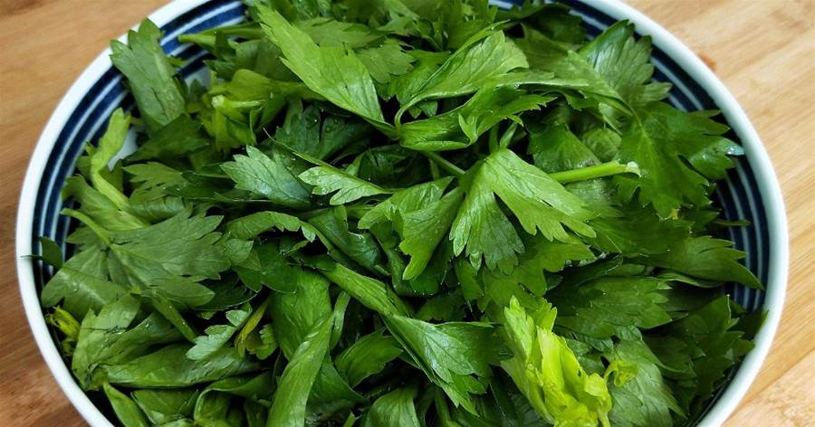 「芹菜葉子」最近火了，教你一個想不到的做法，外面都買不到