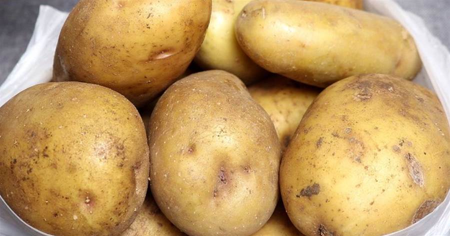 才知道，保存土豆原來這麼簡單，撒上一把，放一年不發芽不變綠