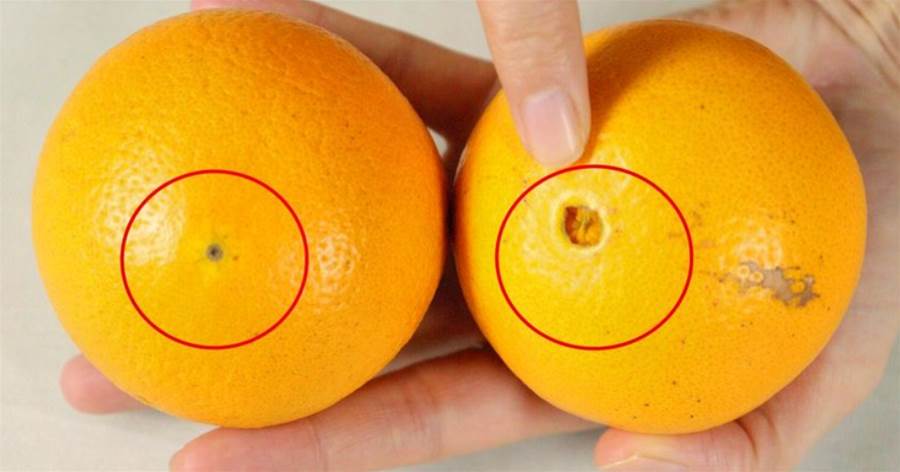 買橙子，「大果臍」和「小果臍」差別大，老果農：牢記4點，一挑一個準