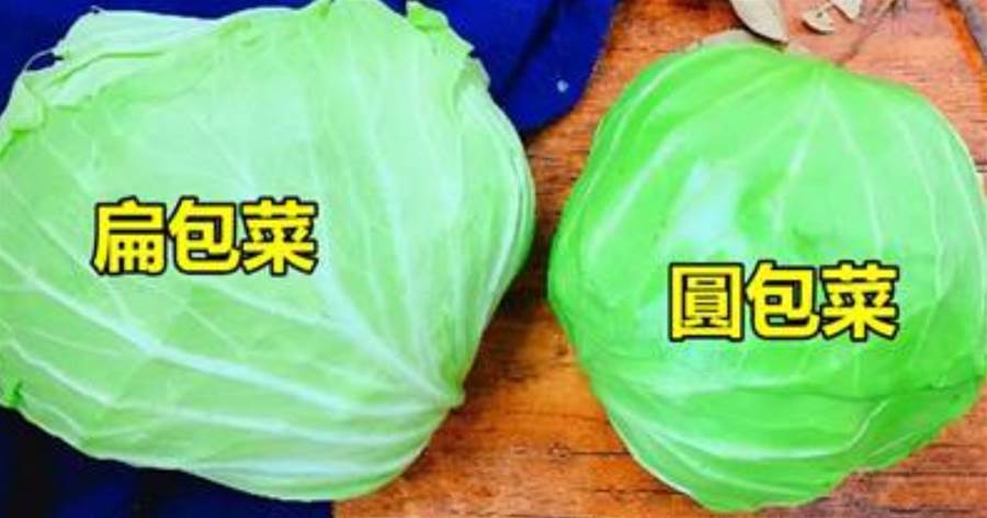 扁包菜和圓包菜有什麼區別？口感差遠了，以后別再傻傻地亂買