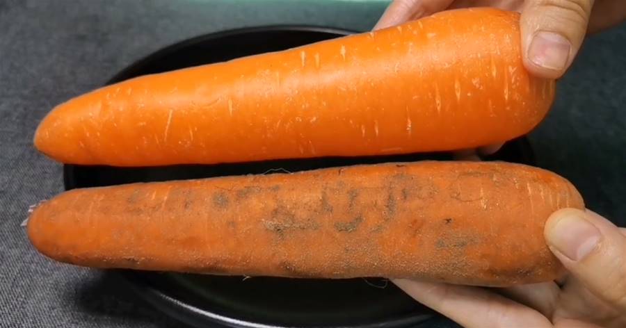 買胡蘿卜， 「帶泥」和「不帶泥」原來差別這麼大，菜農不小心說漏嘴