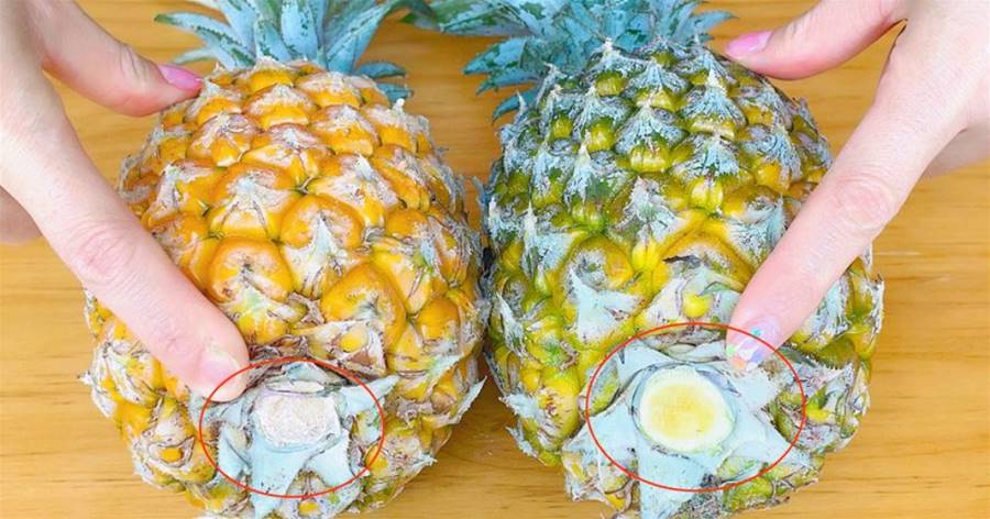 買菠蘿時，選大的或者小的都是錯的！記住3個秘訣，菠蘿香甜肥美多汁