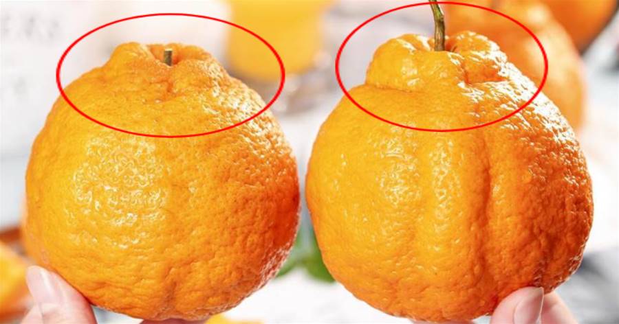 買丑橘時，該如何挑選？記住三買三不買，個個鮮甜多汁，皮薄肉厚