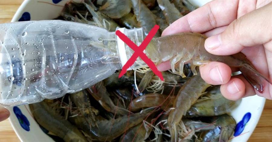 鮮蝦怎麼保存？水產老闆說，水瓶灌水還不夠，多加一食材更保鮮