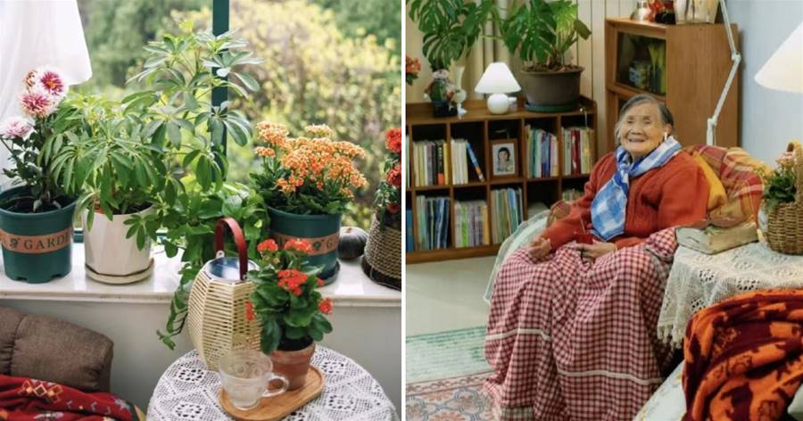 92歲老奶奶，因「太會布置」而走紅，家里種滿花草，越捯飭越年輕